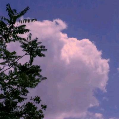 糖果粉碎传奇英文版下载